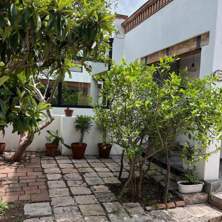 LAS ALAMEDAS Departamentos céntricos con estacionamiento privado - Deluxe Studio mit Kingsize-Bett - 5