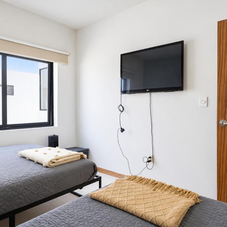 Luz, plantas y dos camas por recámara, Americana - Apartamento de 2 dormitorios - 64