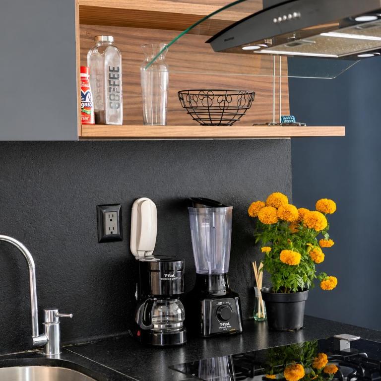 Luz, plantas y dos camas por recámara, Americana - Apartamento de 2 dormitorios - 74