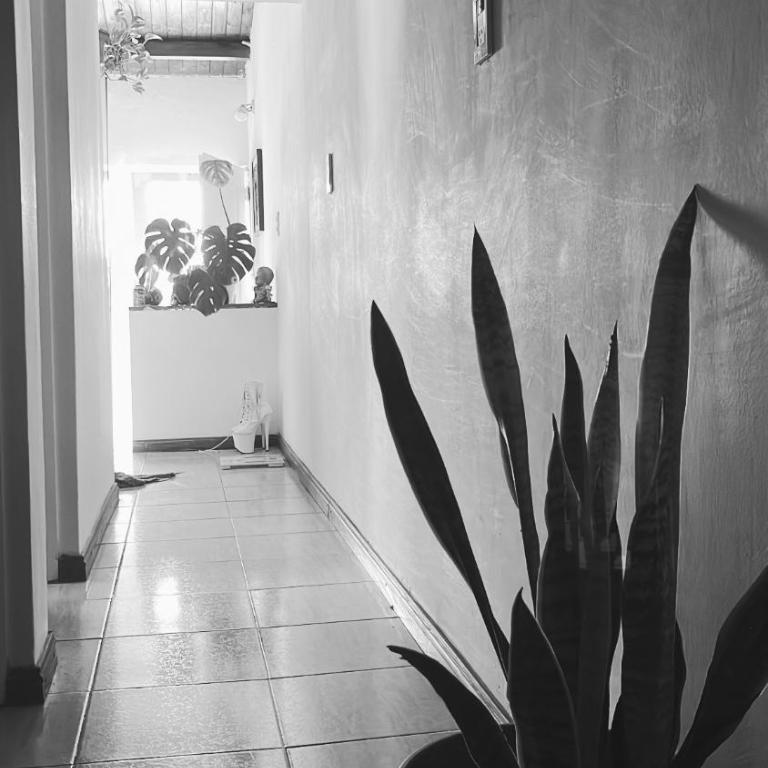 Depto papal - Apartamento de 1 dormitorio - 2