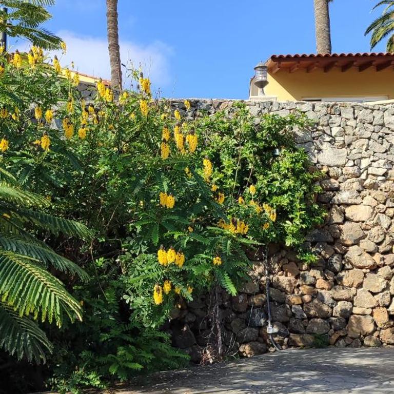 Finca Las Tapias, Glorieta - Maison 1 Chambre - 77