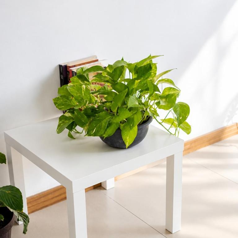 Para 8 con dos baños completos, Americana - Apartamento de 2 dormitorios - 91