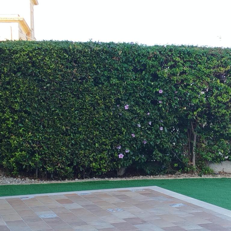 Il Giardino sul Golfo - Appartamento con 1 Camera da Letto - 5