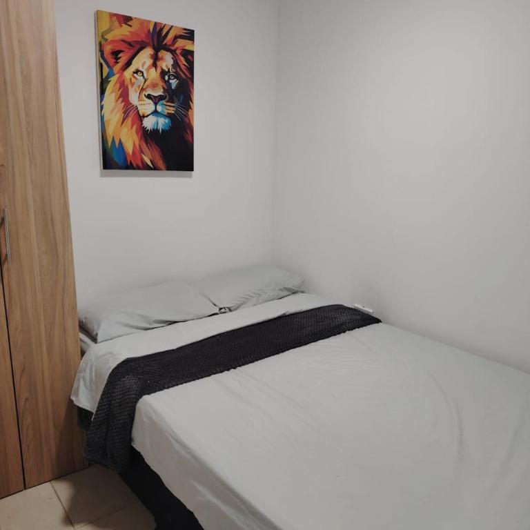 Aparta estudio amoblado en Chinchiná Caldas Eje Cafetero - Apartamento de 1 dormitorio - 3
