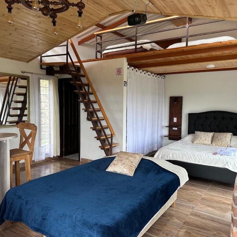 Hermosa Cabaña Turística a 15 minutos de Paipa - Sotaquirá - Chalet de 1 dormitorio - 10