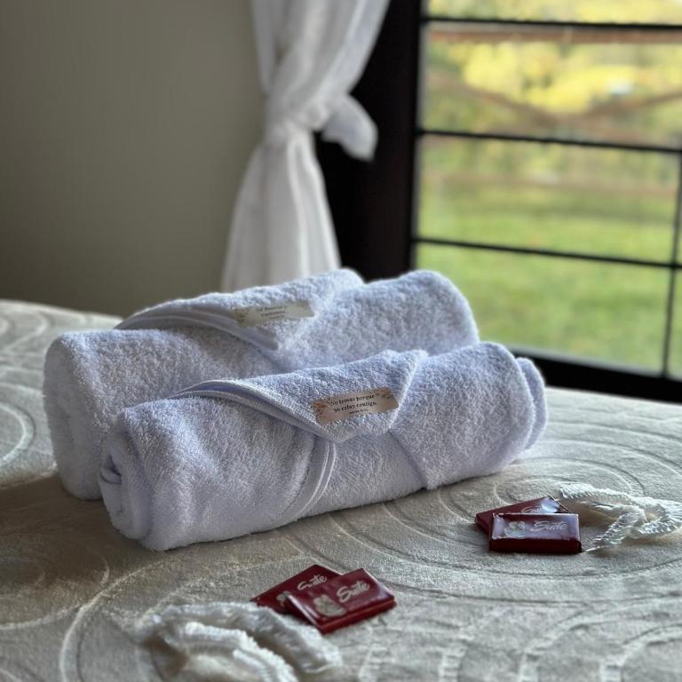 Hermosa Cabaña Turística a 15 minutos de Paipa - Sotaquirá - Chalet de 1 dormitorio - 2