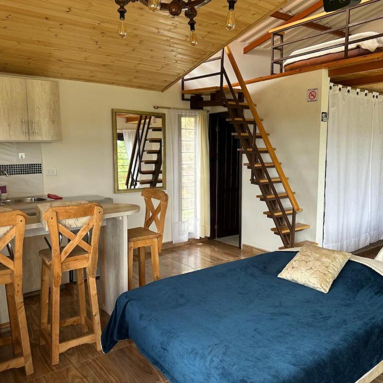 Hermosa Cabaña Turística a 15 minutos de Paipa - Sotaquirá - Chalet de 1 dormitorio - 11