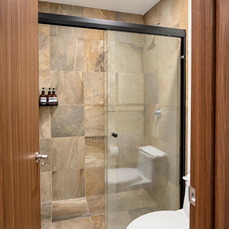 Nuevo Departamento Céntrico con Alberca y Parking - Apartment mit 2 Schlafzimmern - 55