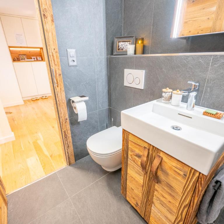 Le Balcon des Dents du Midi, Villars - Appartamento con 1 Camera da Letto, Balcone e Vista Montagna - 47