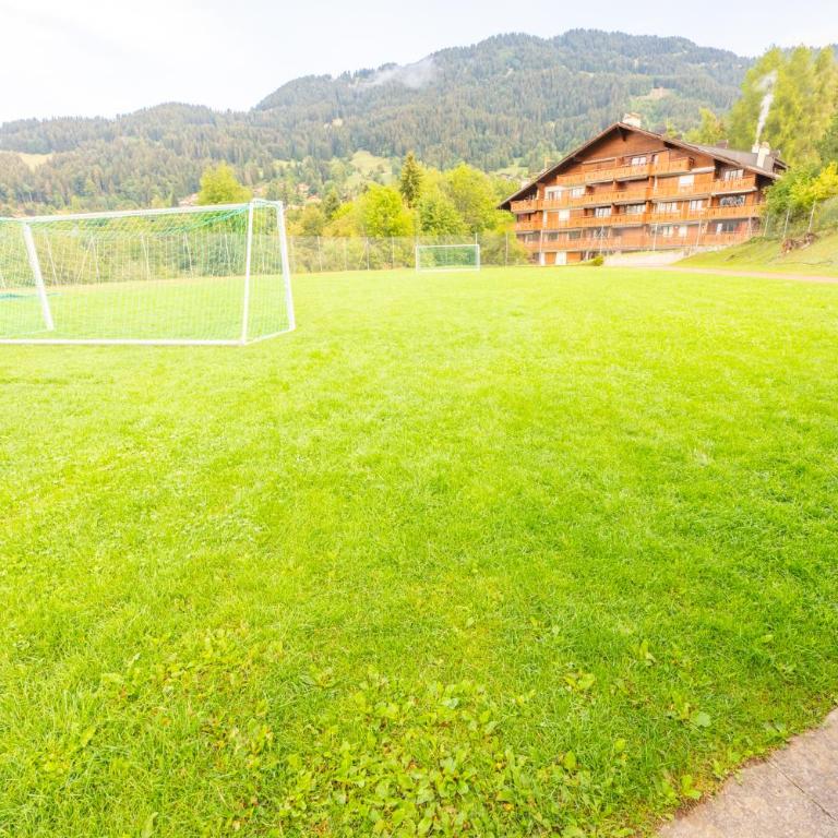 Le Balcon des Dents du Midi, Villars - Appartamento con 1 Camera da Letto, Balcone e Vista Montagna - 68