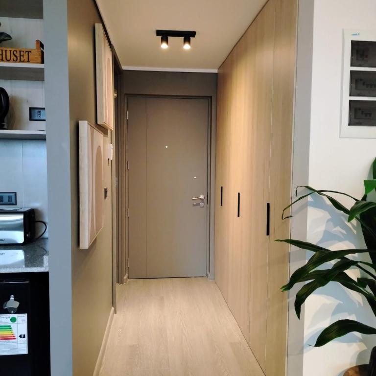 Modern and comfortable café studio across from Movistar Arena - One-Bedroom Apartment - 11