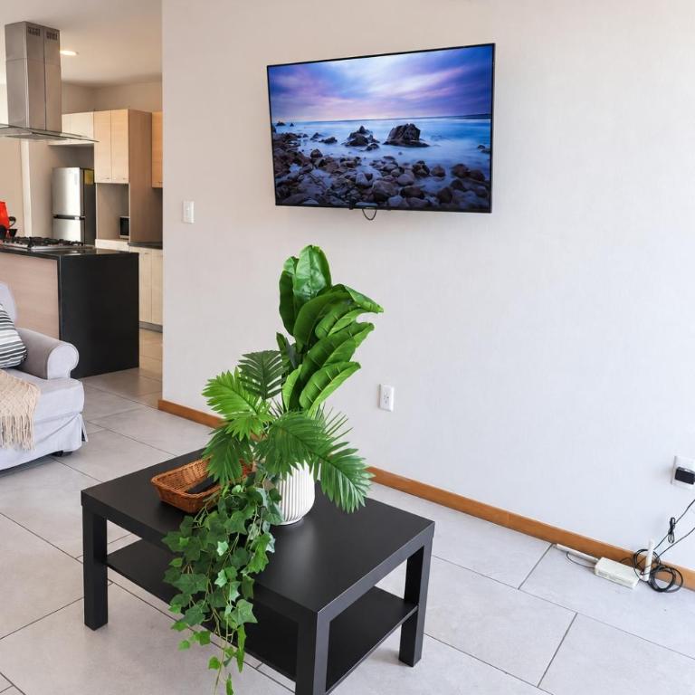 Departamento muy amplio, vista verde y alberca - Apartamento de 2 dormitorios - 46