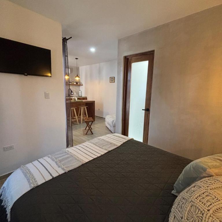 MaaR Loft2 en El Centenario Alberca&Relax - Apartamento de 1 dormitorio - 46