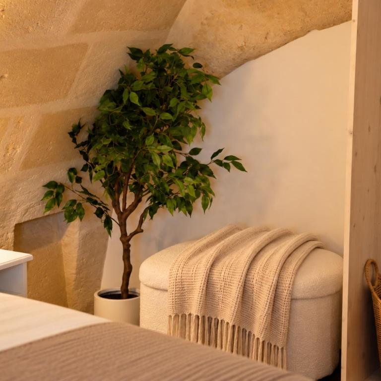 Eterna - Boutique Rooms - Camera Deluxe - 11