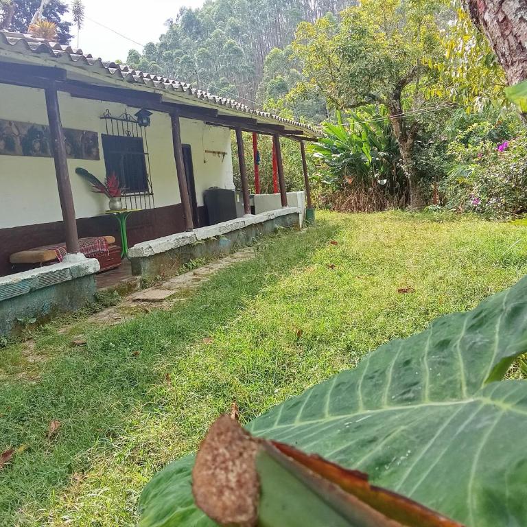 Finca tLa Menguate - One-Bedroom House - 3