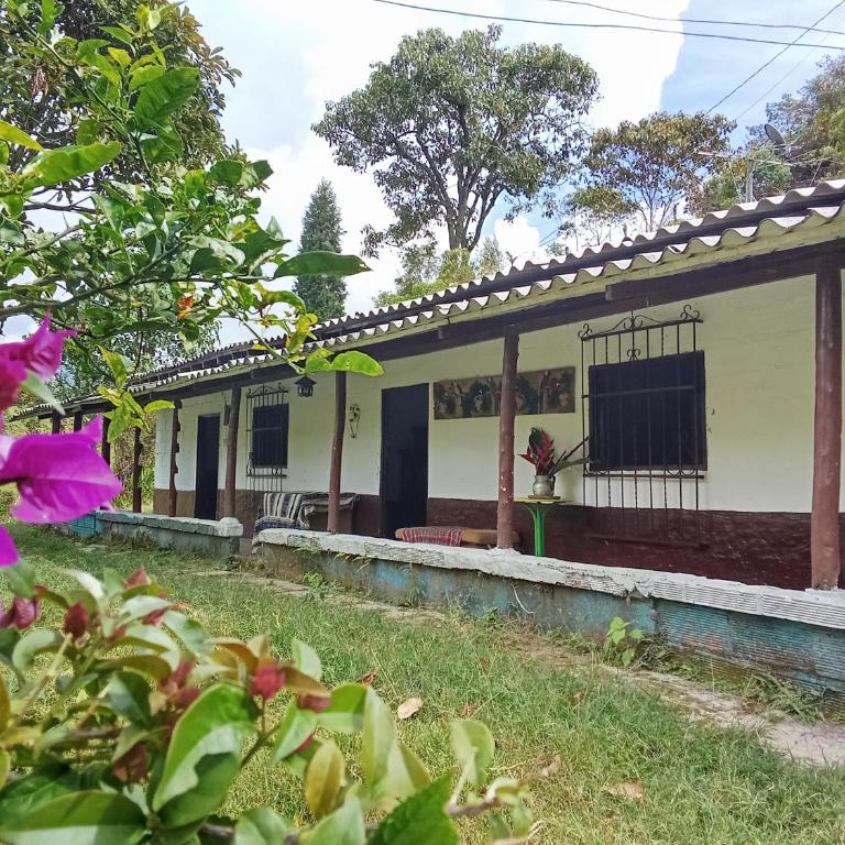 Finca tLa Menguate - One-Bedroom House - 4