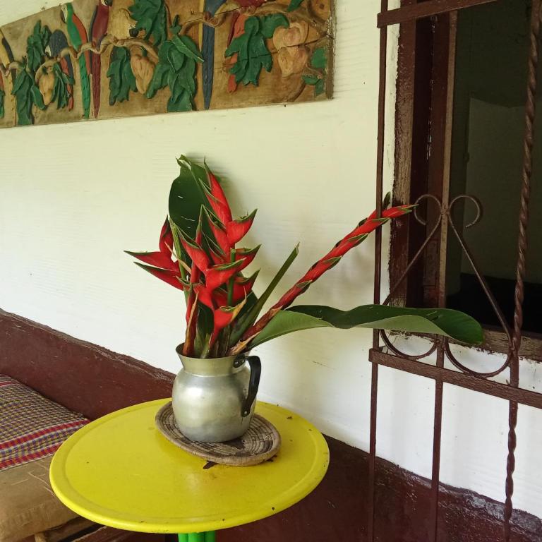 Finca tLa Menguate - One-Bedroom House - 6