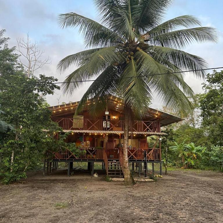 Casa Coral - Three-Bedroom House - 1