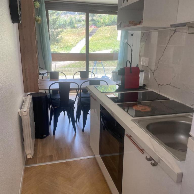Studio au pied des pistes - One-Bedroom Apartment - 3