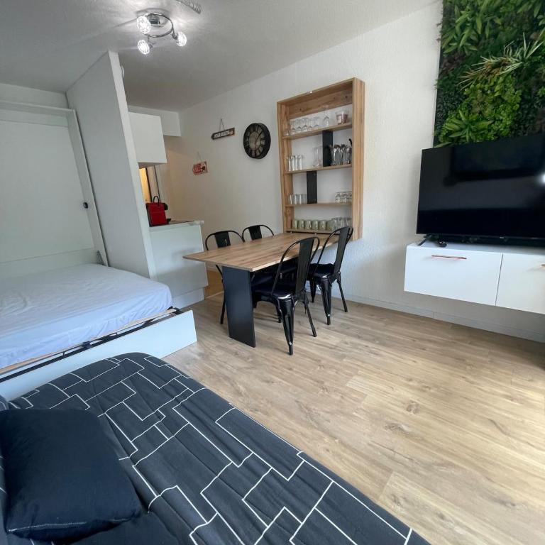 Studio au pied des pistes - One-Bedroom Apartment - 4