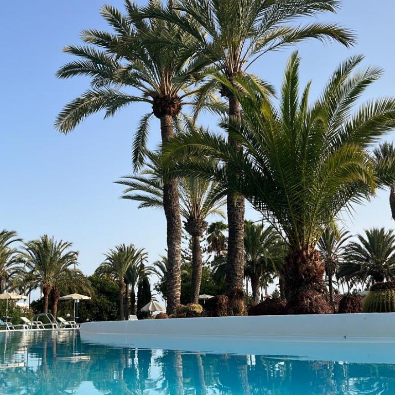Sun Club Luxus Bungalow Projecto 65 - Casa Vacanze - 44