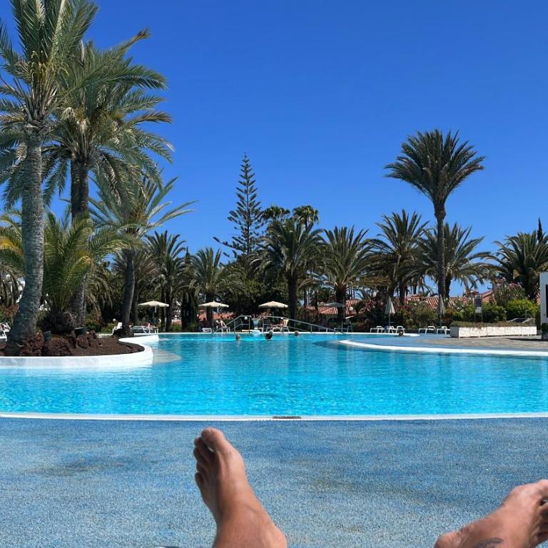 Sun Club Luxus Bungalow Projecto 65 - Casa Vacanze - 45