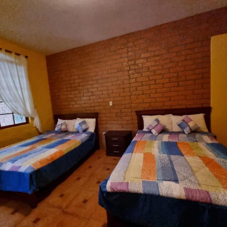 Quinta Luz María - Villa - 15