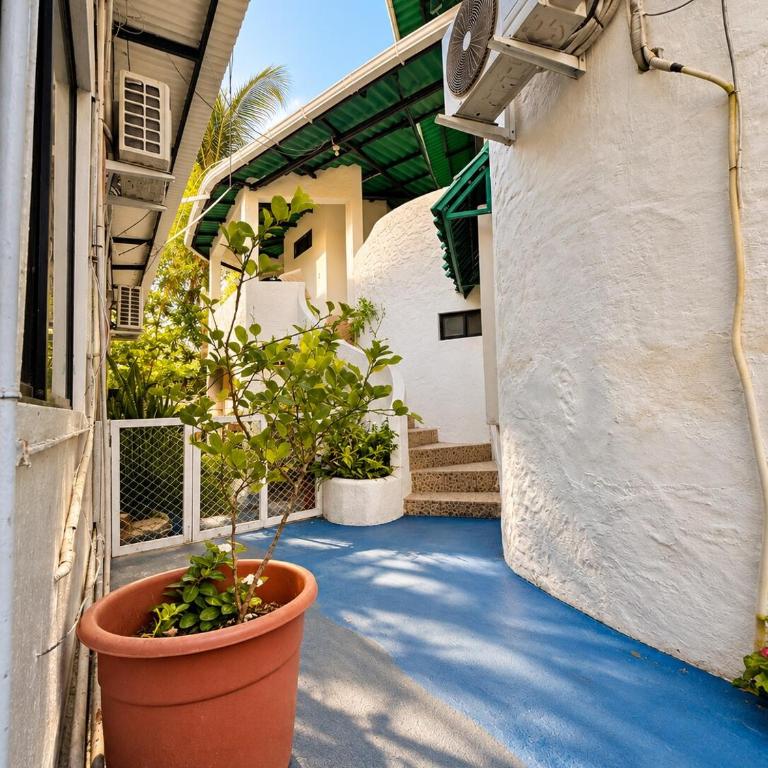 Walk Everywhere - Prime Puerto Ayora Studio! - Apartamento de 1 dormitorio - 11