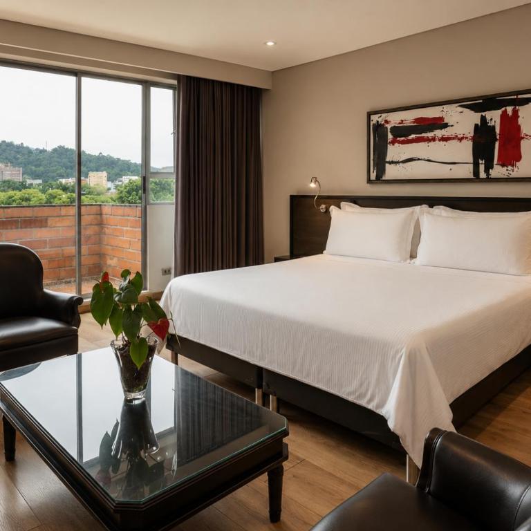Hotel Egina Medellin - Suite con balcón - 20