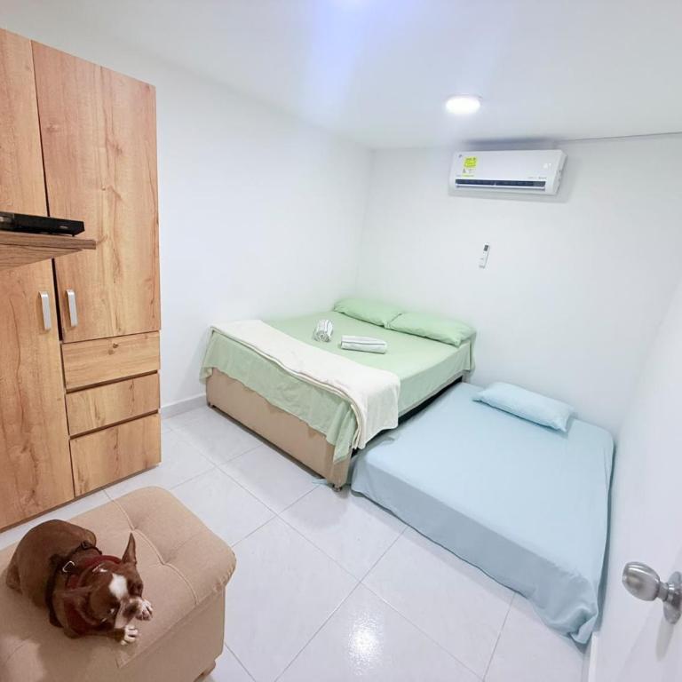 Estadio 70 Comfort - One-Bedroom Apartment with Garden View - 1
