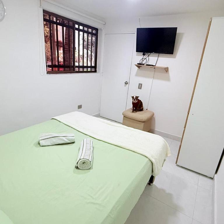 Estadio 70 Comfort - One-Bedroom Apartment with Garden View - 3