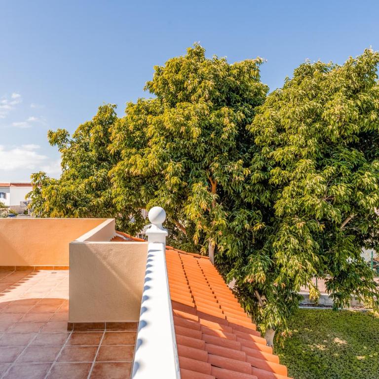 Villa Brisa de Arona - Villa with Private Pool - 49