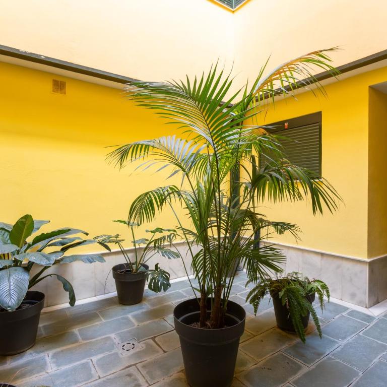 ISG Apartments Carlos Cañal 17 - Apartamento - 32
