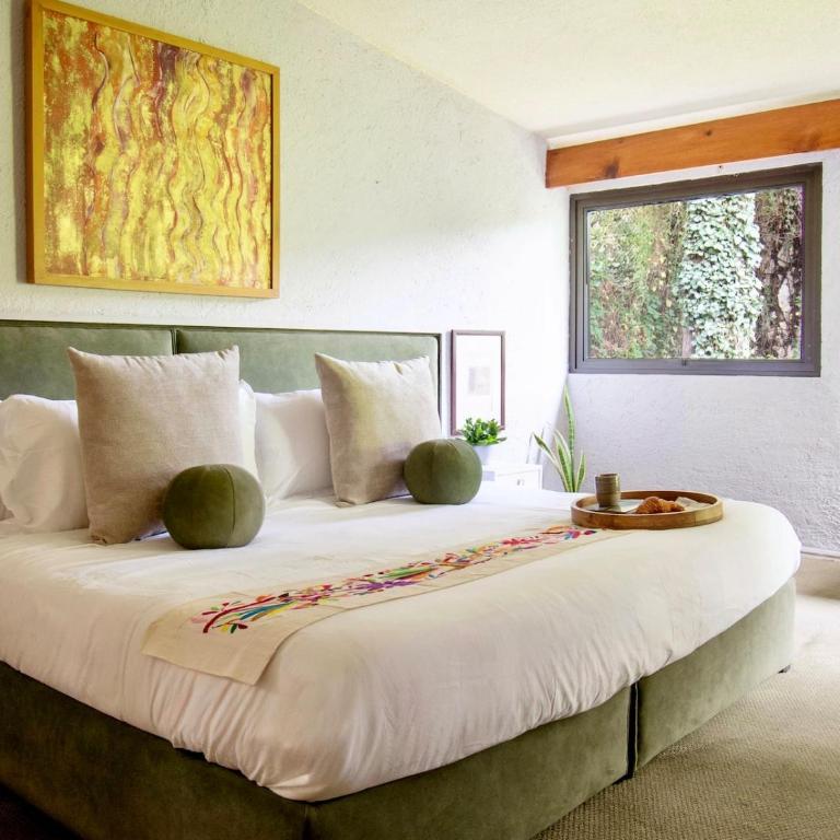 Casa Coyote, Garden Oasis, 1 Block from Coyoacán - Apartment - 7