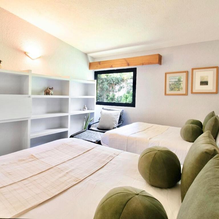 Casa Coyote, Garden Oasis, 1 Block from Coyoacán - Apartment - 13