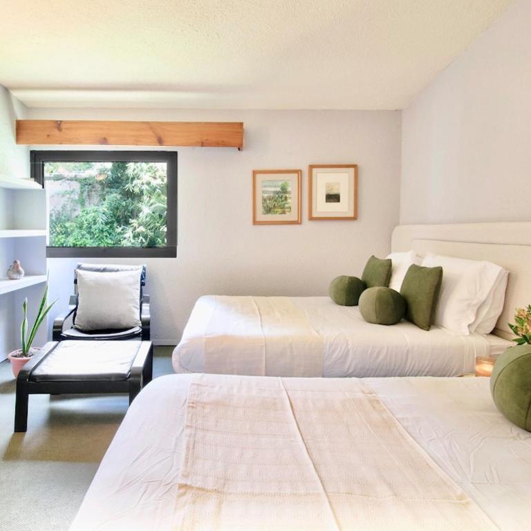 Casa Coyote, Garden Oasis, 1 Block from Coyoacán - Apartment - 11