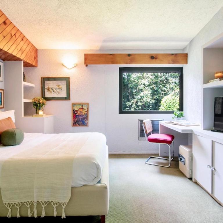 Casa Coyote, Garden Oasis, 1 Block from Coyoacán - Apartment - 16