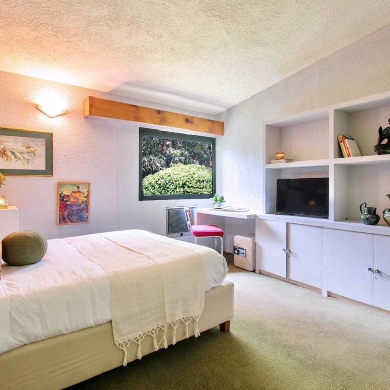 Casa Coyote, Garden Oasis, 1 Block from Coyoacán - Apartment - 18