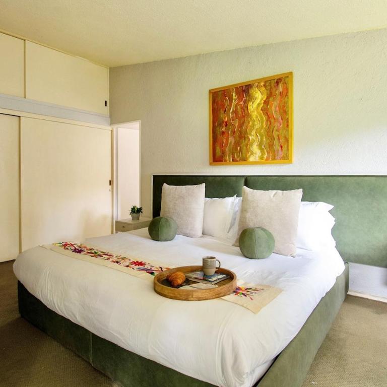 Casa Coyote, Garden Oasis, 1 Block from Coyoacán - Apartment - 29