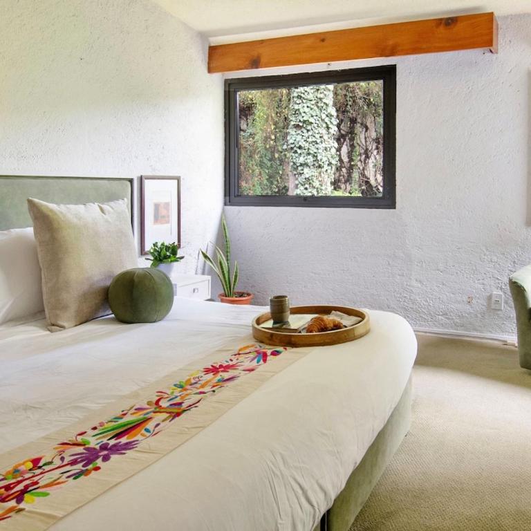 Casa Coyote, Garden Oasis, 1 Block from Coyoacán - Apartment - 34