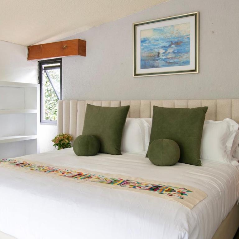 Casa Coyote, Garden Oasis, 1 Block from Coyoacán - Apartment - 37
