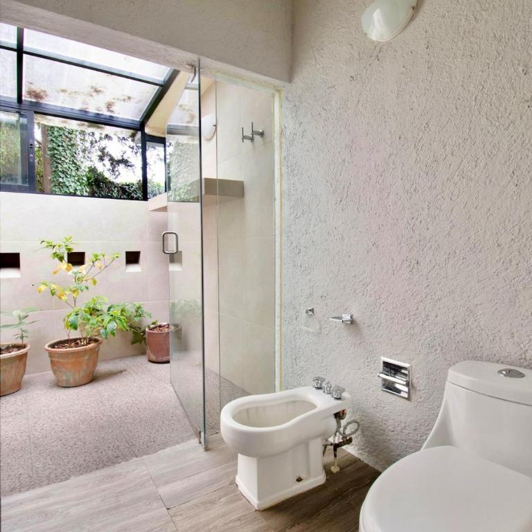 Casa Coyote, Garden Oasis, 1 Block from Coyoacán - Apartment - 45