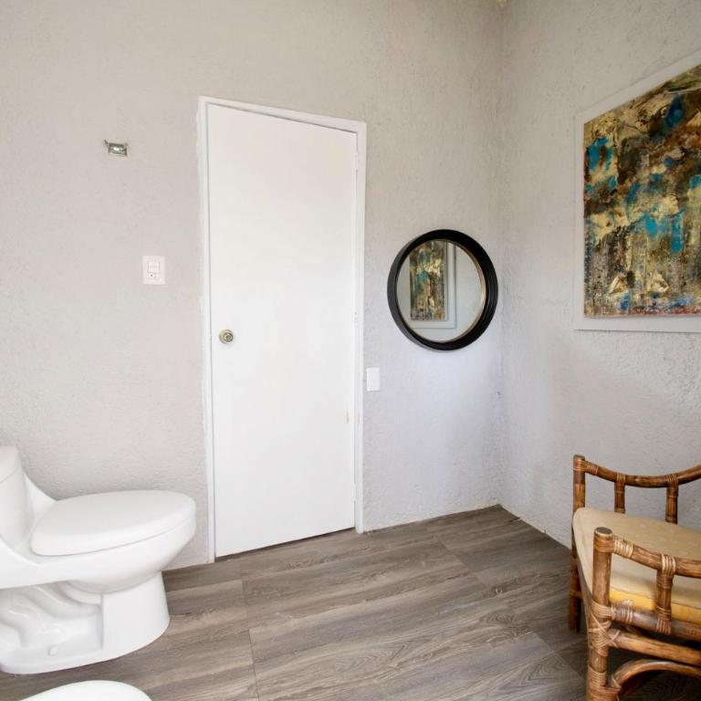 Casa Coyote, Garden Oasis, 1 Block from Coyoacán - Apartment - 47