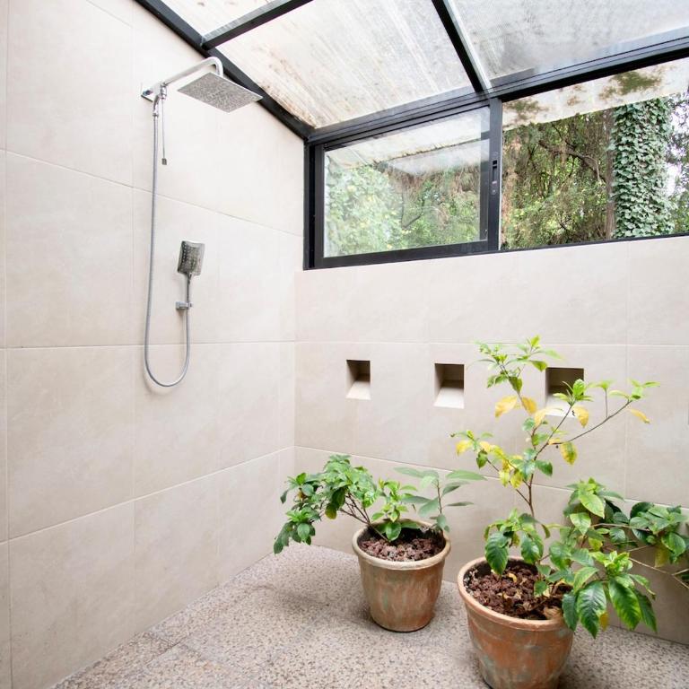 Casa Coyote, Garden Oasis, 1 Block from Coyoacán - Apartment - 49