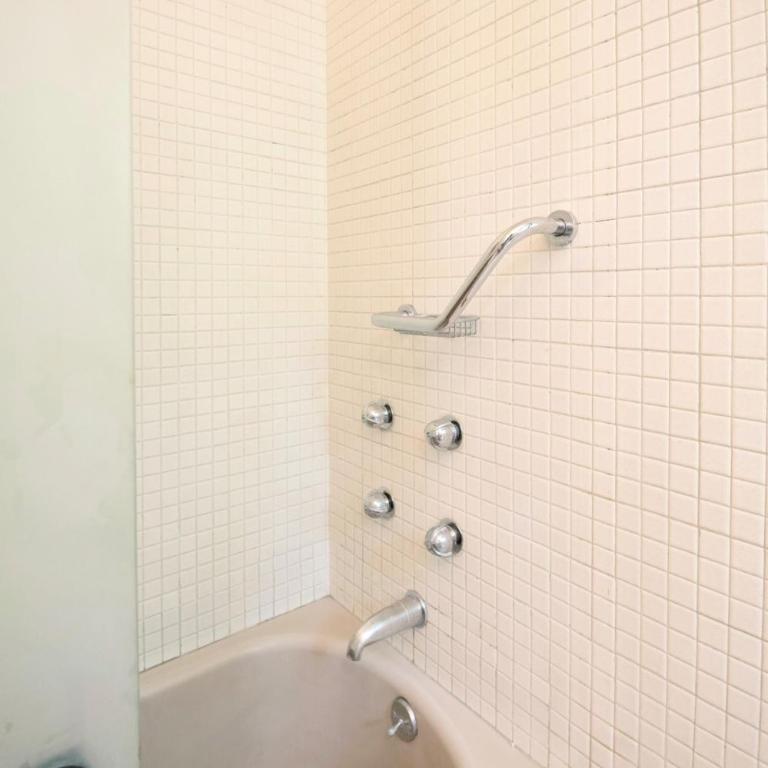 Casa Coyote, Garden Oasis, 1 Block from Coyoacán - Apartment - 51