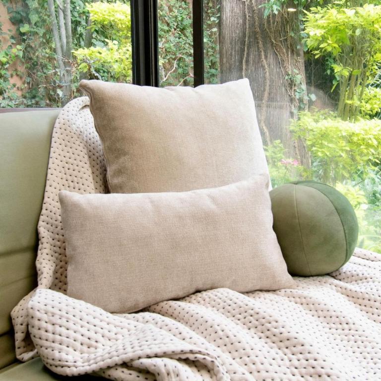 Casa Coyote, Garden Oasis, 1 Block from Coyoacán - Apartment - 68