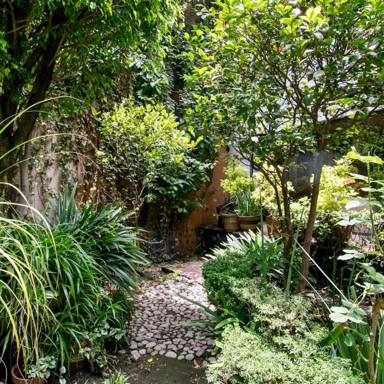 Casa Coyote, Garden Oasis, 1 Block from Coyoacán - Apartment - 78