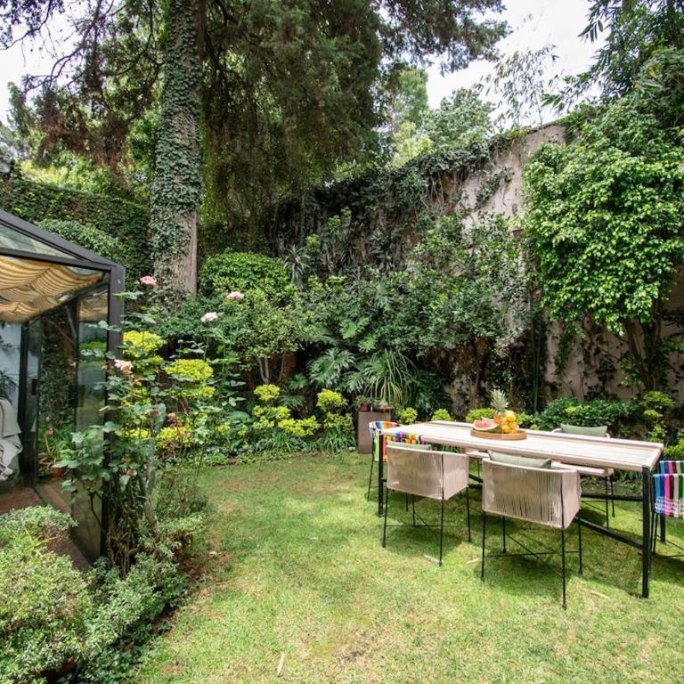 Casa Coyote, Garden Oasis, 1 Block from Coyoacán - Apartment - 79