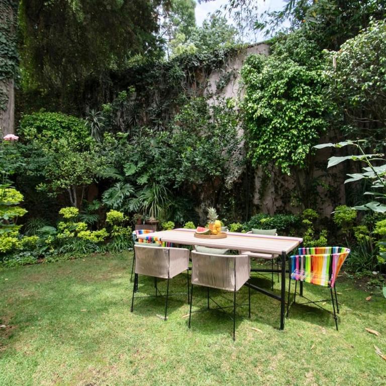 Casa Coyote, Garden Oasis, 1 Block from Coyoacán - Apartment - 81