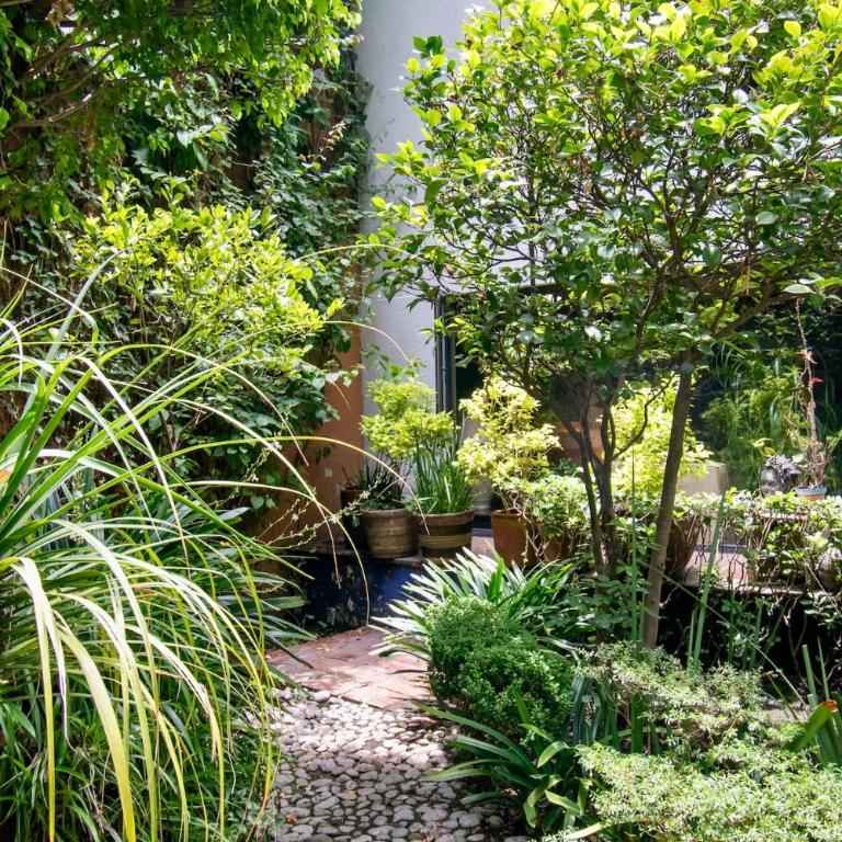 Casa Coyote, Garden Oasis, 1 Block from Coyoacán - Apartment - 80
